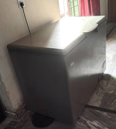 Haier Freezer