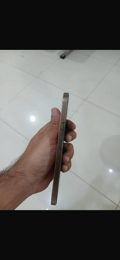 12 pro max