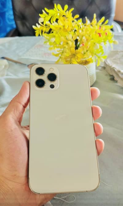 Apple iPhone 12 Pro Max