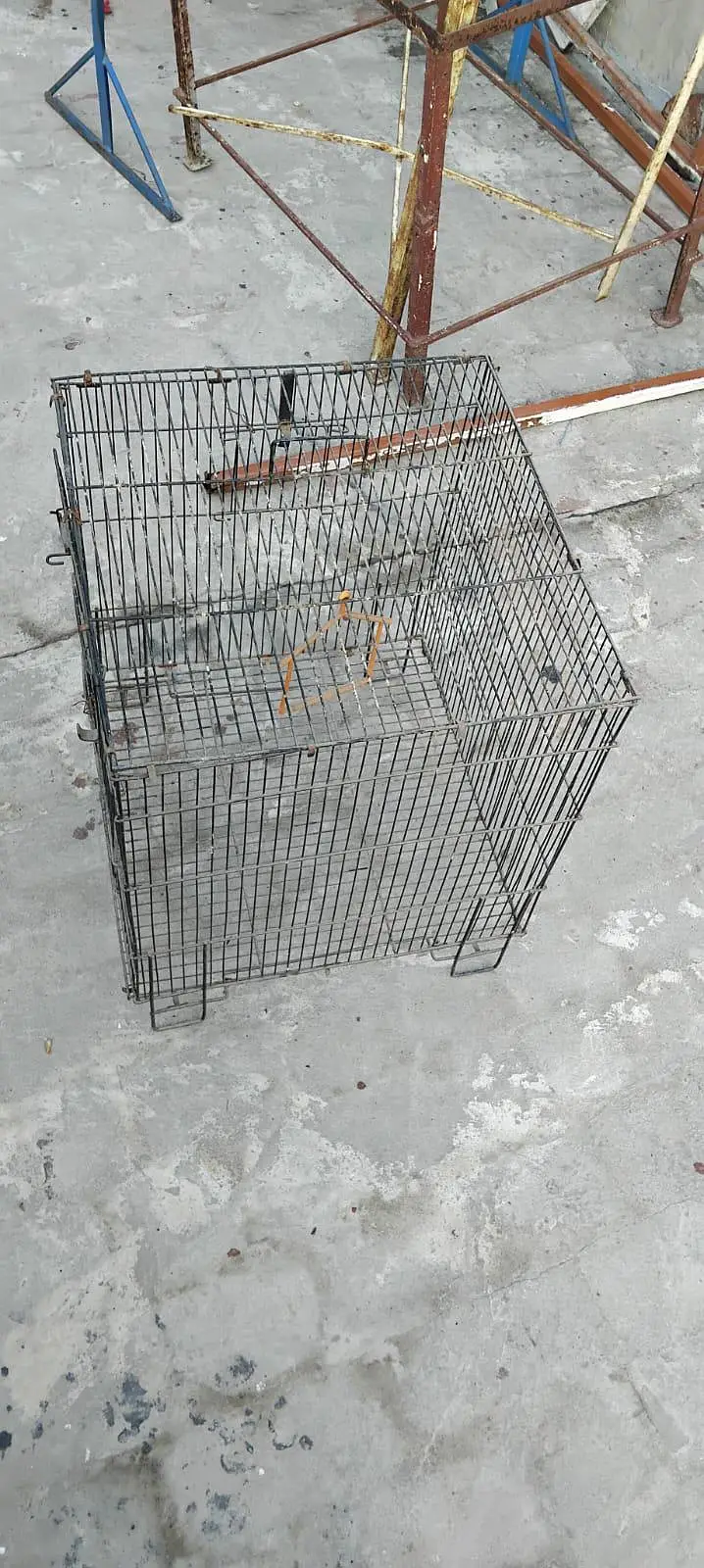 iron cage — photo 2