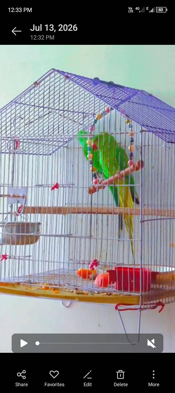 parrots 2