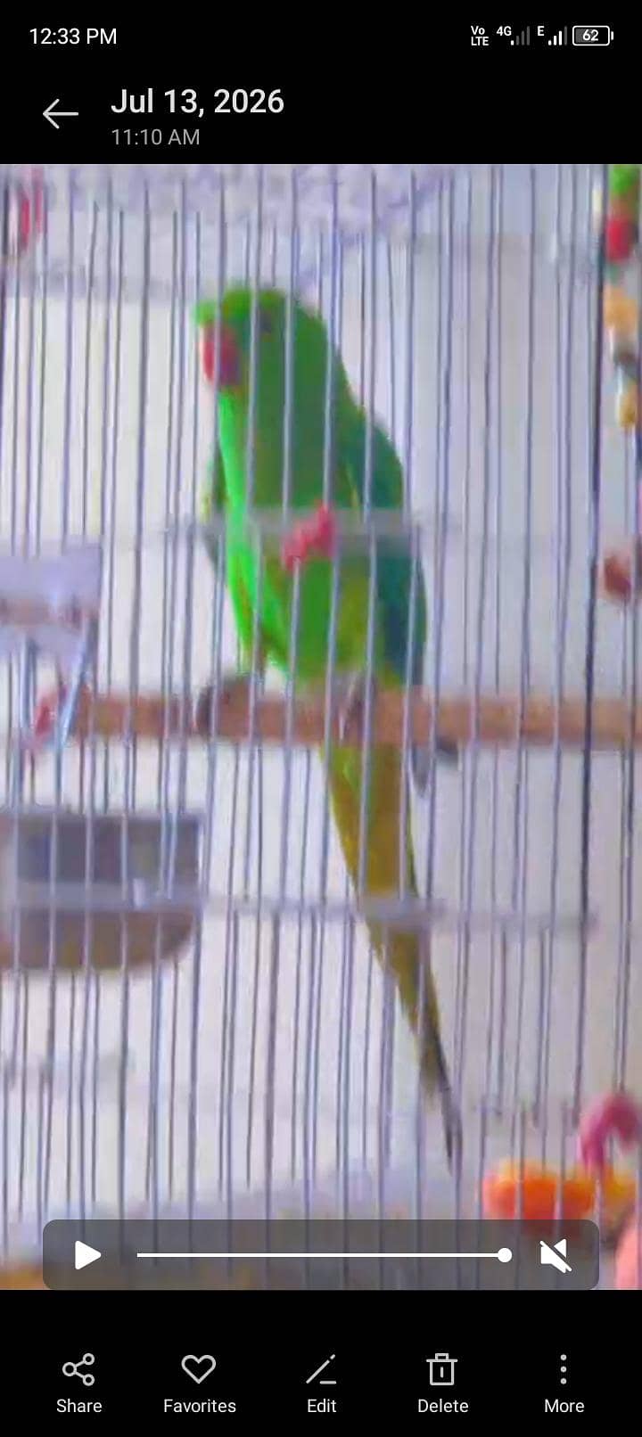 parrots 3