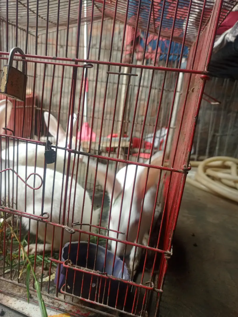 urgent sell — photo 3