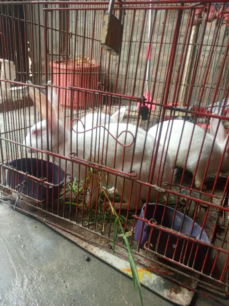 urgent sell — photo 4