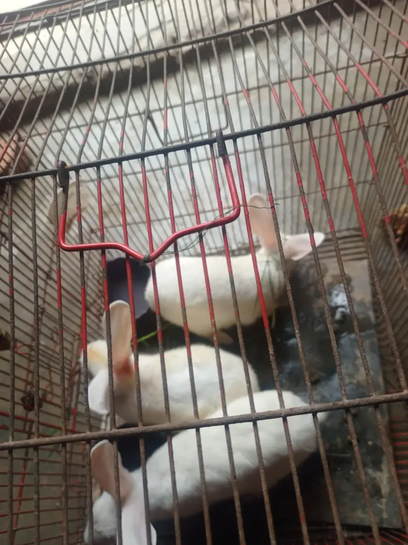 urgent sell — photo 6