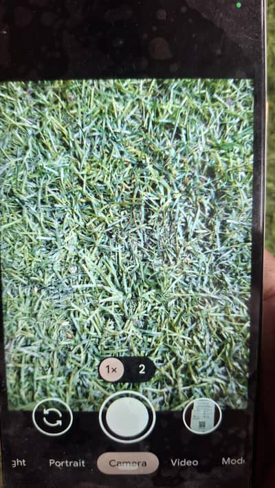 Google Pixel 3a XL