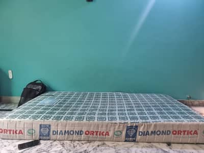 Diamond Ortica hard foram for spine in almost new Condition 5 years