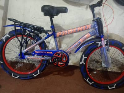 Phoenix bicycle