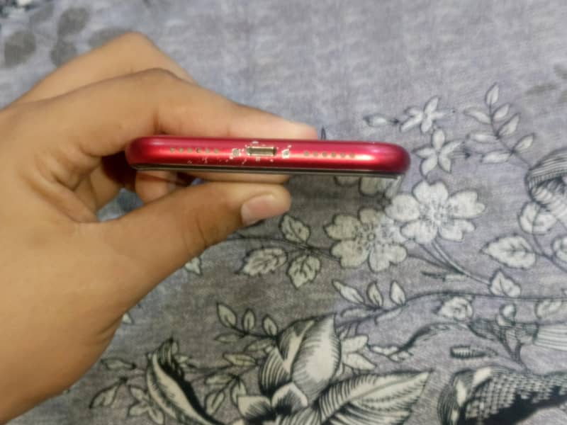 Apple iPhone 11 3