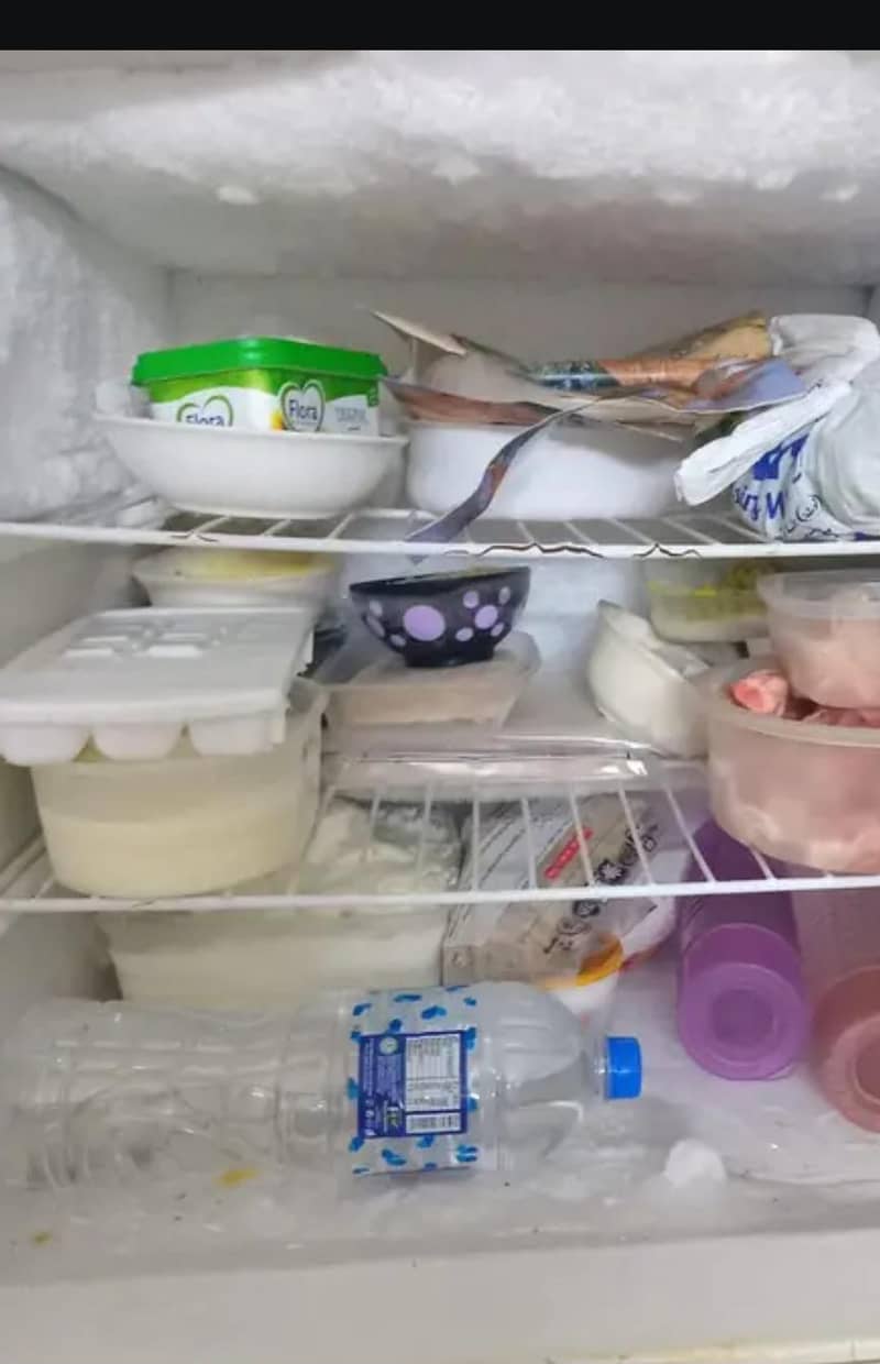 fridge 2
