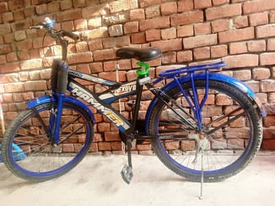 24 inch Cycle