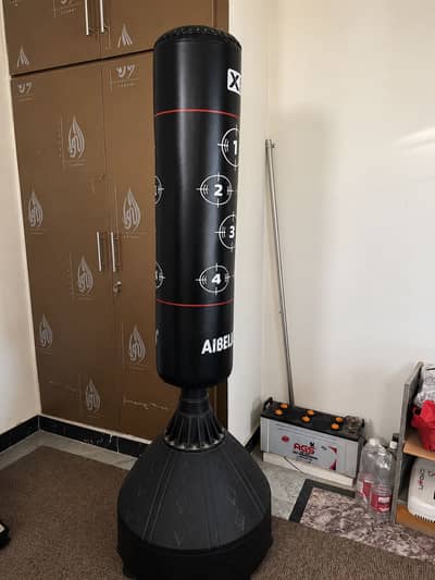 Standing Punching Bag