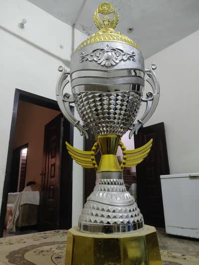 Trophy for Sale – Excellent Condition  Premium Winner Trophy