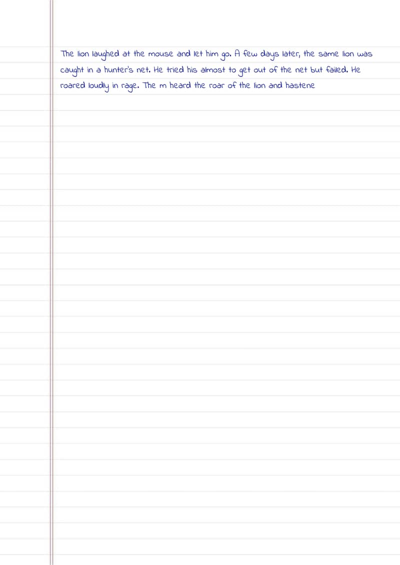 Assignment Writing 3