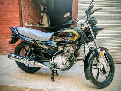 YBZ DX 2025