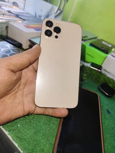 Apple iPhone 12 Pro Max