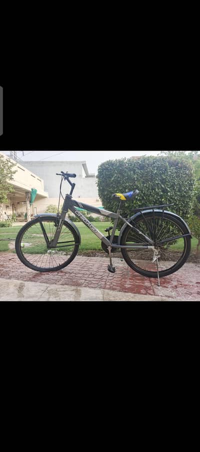 Chicago Bicycle 
