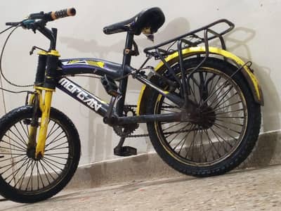 Morgan cheetah cycle