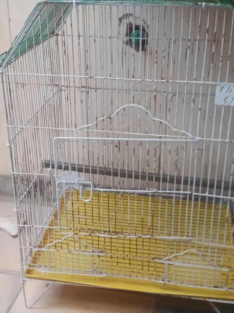 cage for sale — photo 2