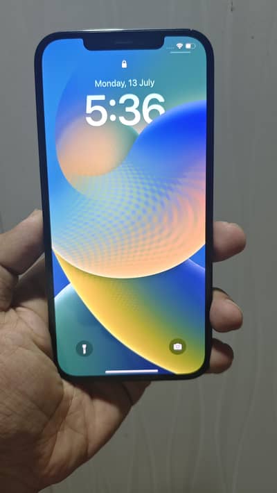 Apple iPhone 12 pro max