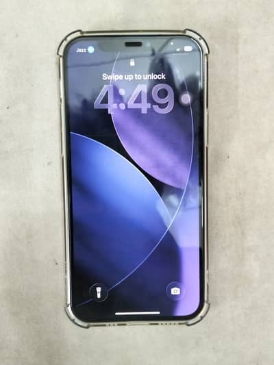 Apple iPhone 12 dual pta approved