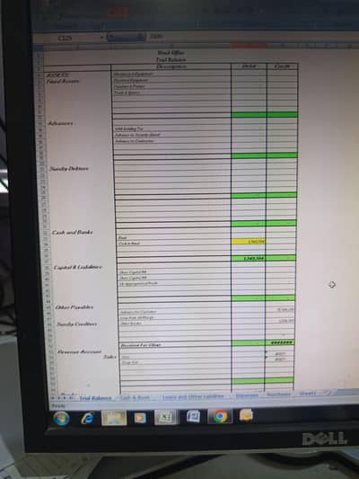 Remote Virtual Assistant & Excel Data entry for overseas Pakistani