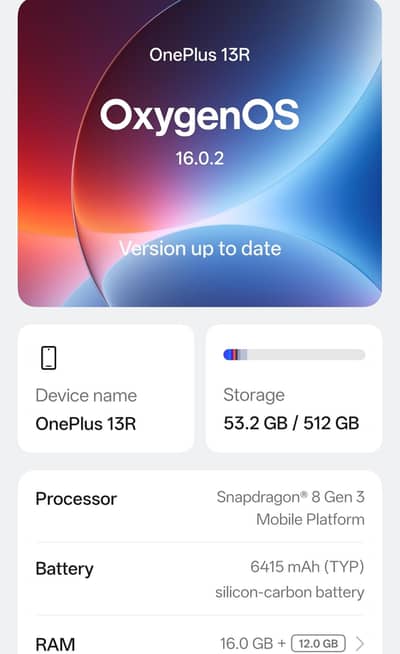 One Plus 13R