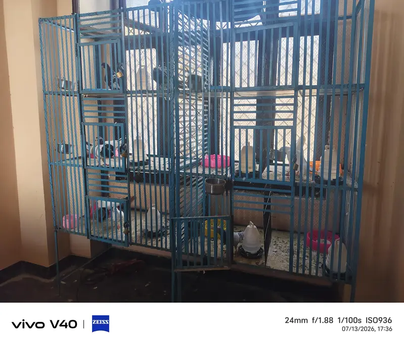 doors b ha mazboot bana ha 2 ha 1 b mil sakta ha — photo 2