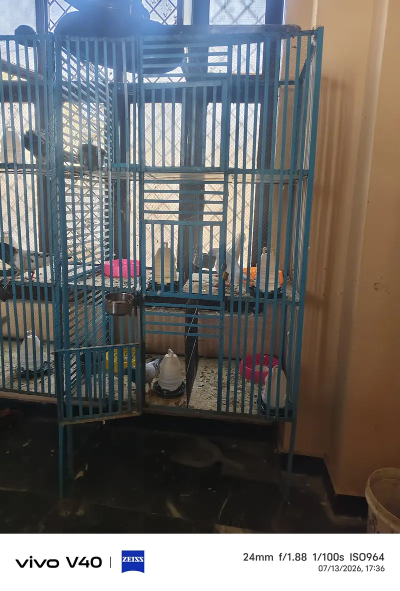 doors b ha mazboot bana ha 2 ha 1 b mil sakta ha — photo 3