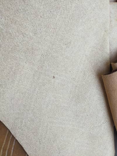 Clean / carpet for sale