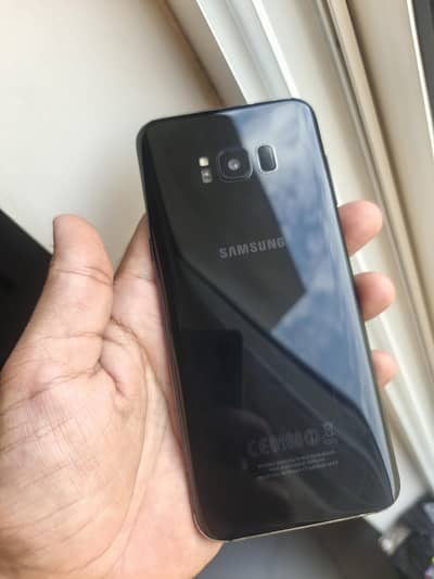 s8 plus dual official