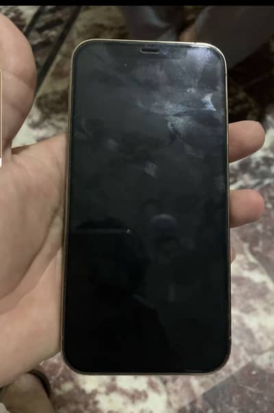 Apple iPhone 12 Pro exchange possible