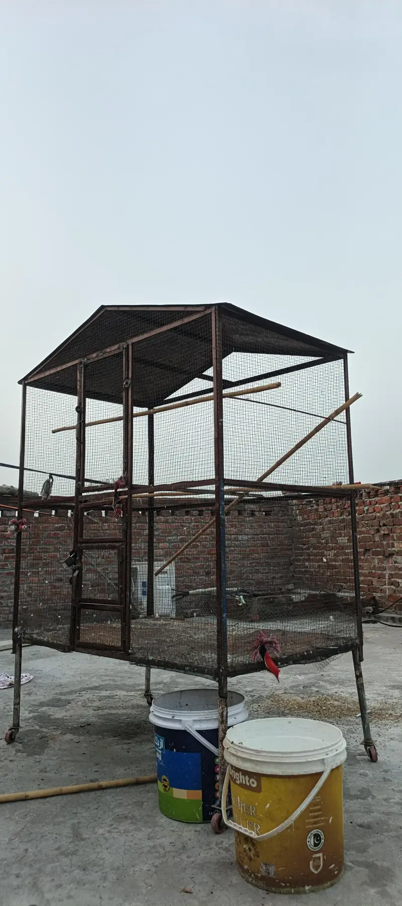 full Bara cage Lohe ki cage ka banaa hai full  mzbot — photo 2