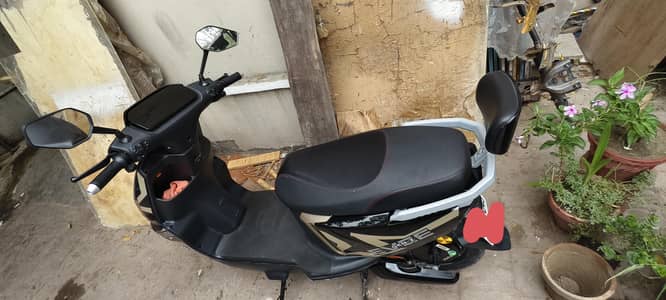 Evee GenZ 2026 model black& Golden like a New