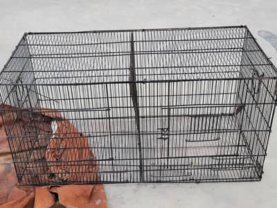 Parrot Cages