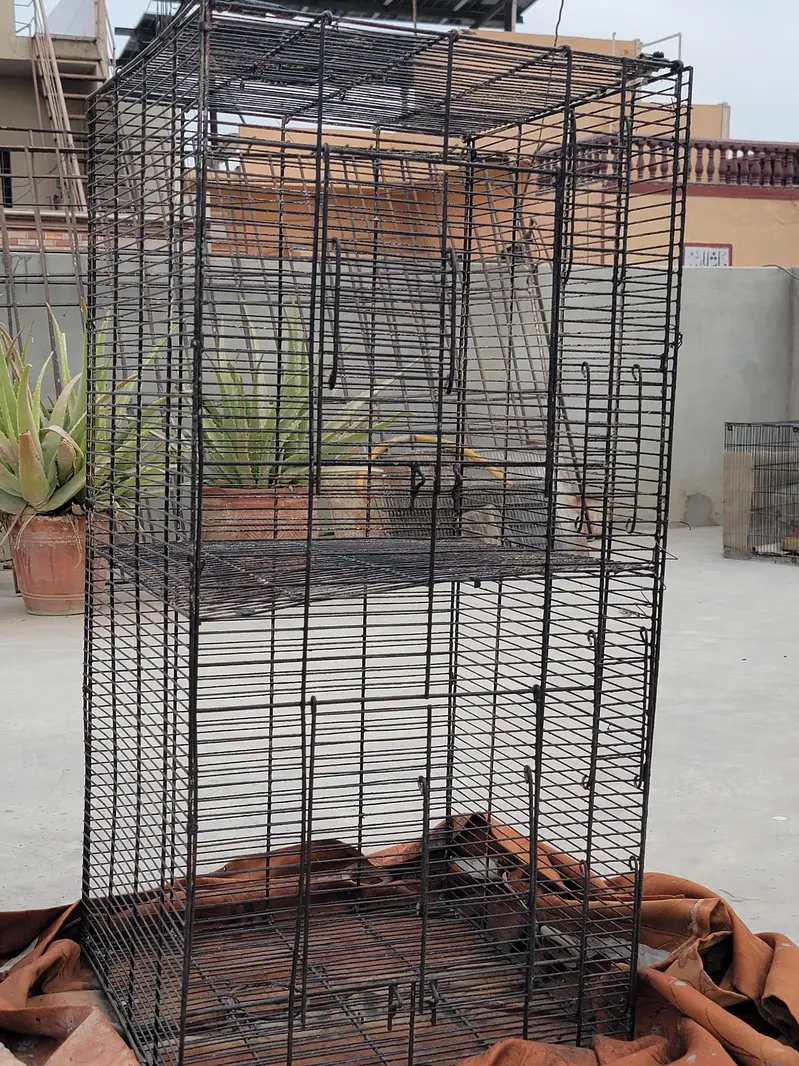 Parrot Cages — photo 2