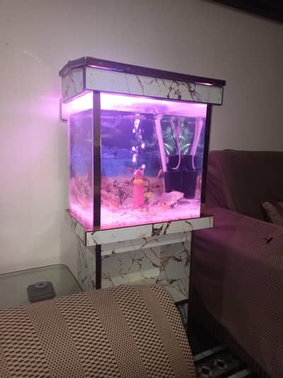 fish aquarium 1.50 size brand bew