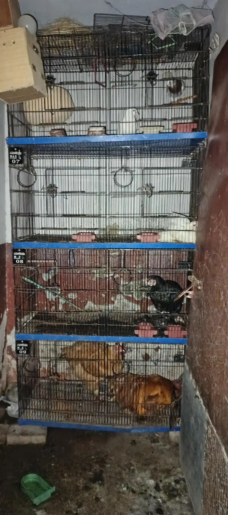 iron cage 8 boxes included — photo 5