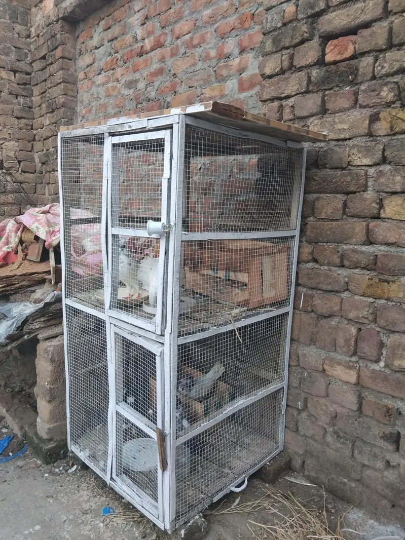 2 Portion wooden cage for sale white colour — photo 2
