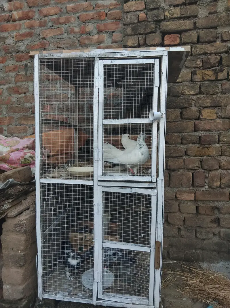 2 Portion wooden cage for sale white colour — photo 3