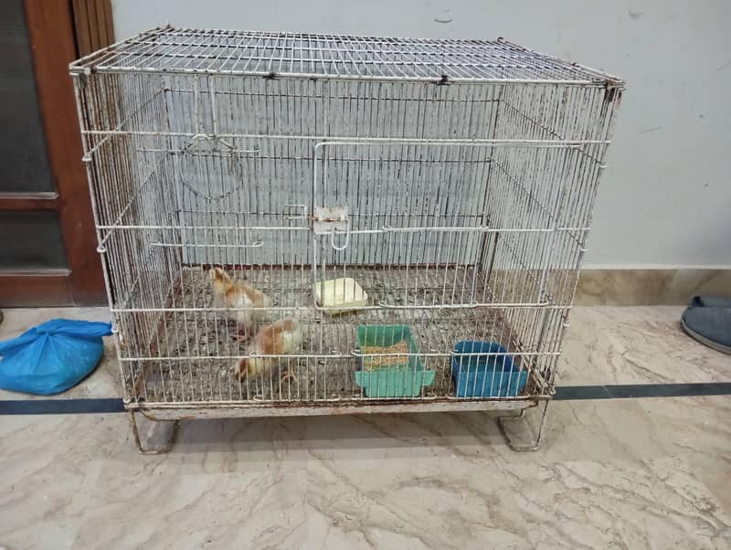 1 portion cage 0