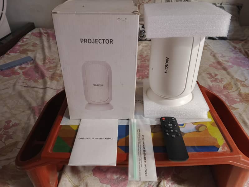 TS3 Projector 6