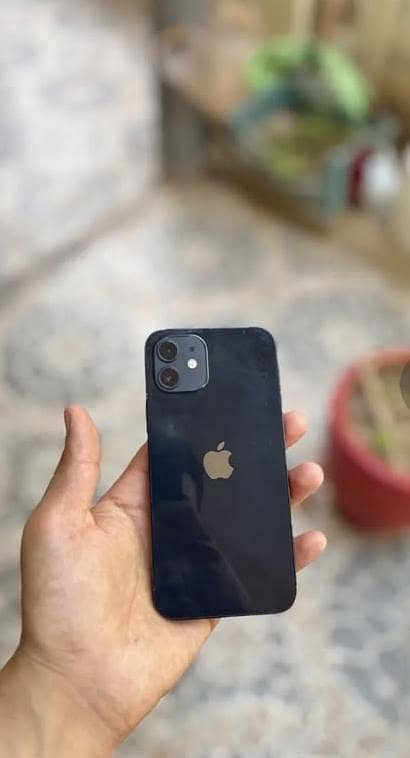 Apple iPhone 12 1