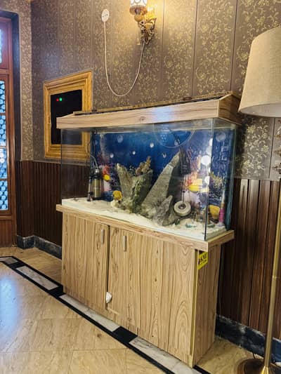 Fish Aquarium 4 foot