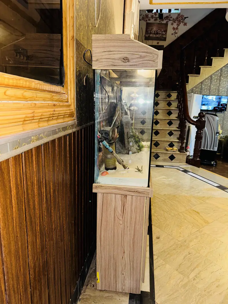 Fish Aquarium 4 foot — photo 2