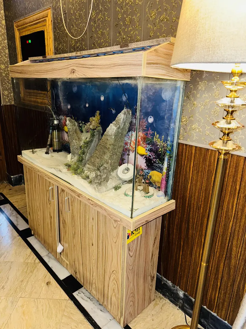 Fish Aquarium 4 foot — photo 4