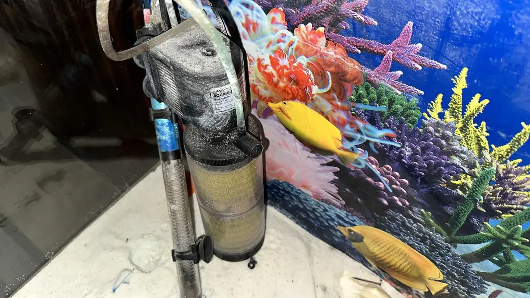 Fish Aquarium 4 foot — photo 5