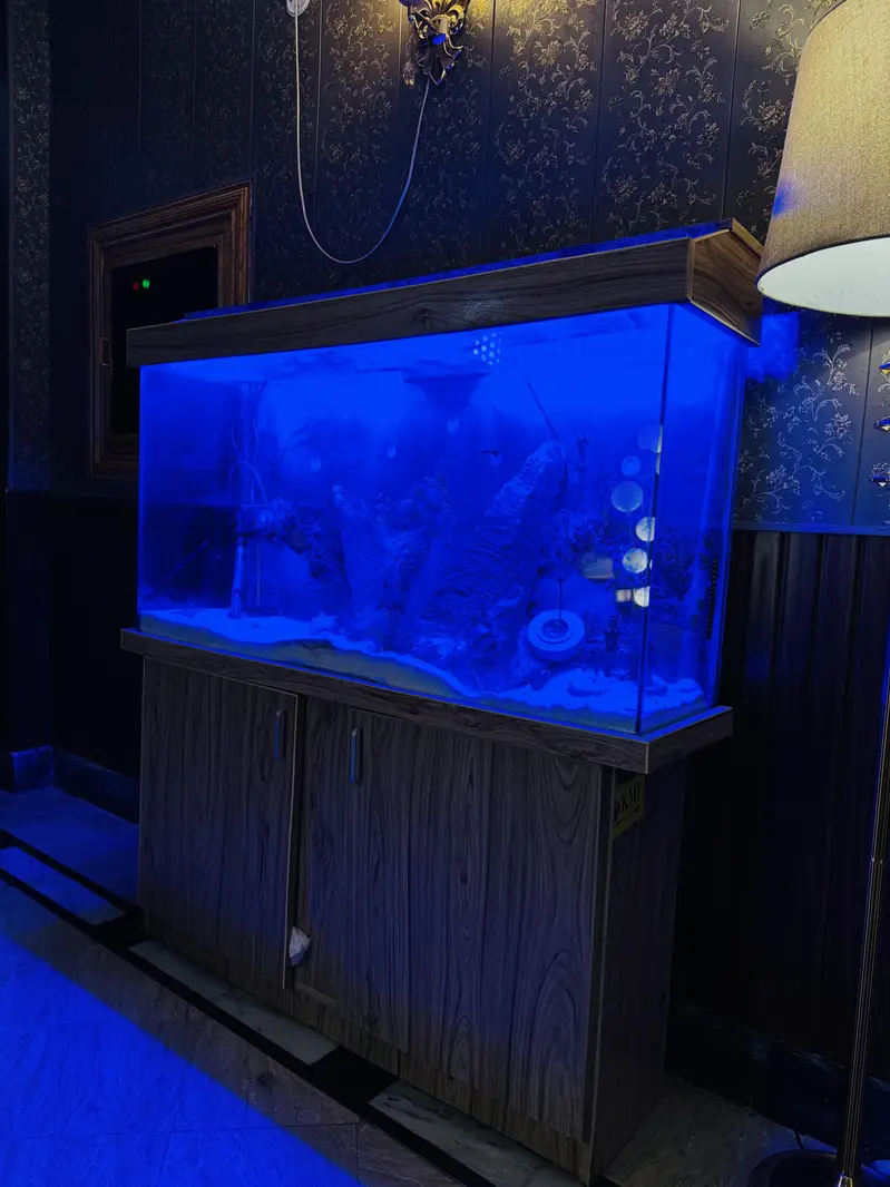 Fish Aquarium 4 foot — photo 6