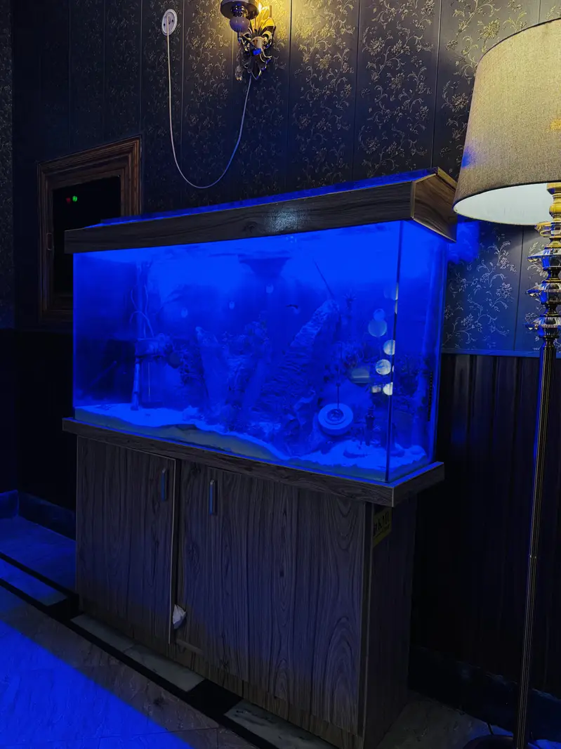 Fish Aquarium 4 foot — photo 7