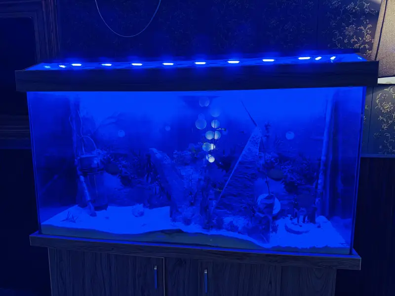 Fish Aquarium 4 foot — photo 8